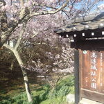 信州茶屋 - 高遠城址公園は満開の桜でした