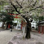 花園万頭 - 花岡神社　もう葉桜でした