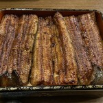 Unagi Hashimoto - 