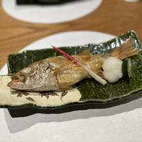 のどぐろ専門店 赤坂 かなめ - のどぐろ塩焼き