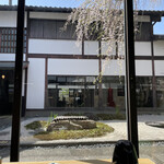 然花抄院 - 桜満開