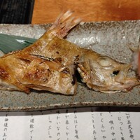 のどぐろ専門 銀座中俣 はなれ - 