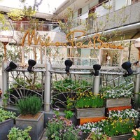 メゾン ポール・ボキューズ - 