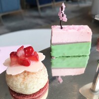 MAISON MARUNOUCHI - 春らしい色彩で