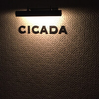 CICADA - 