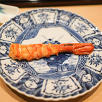 すし 良月 - 増毛ボタン海老半生焼きに三ツ星醤油