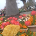 マクドナルド - 料理写真: