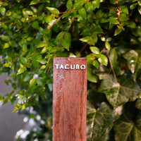 TACUBO - 