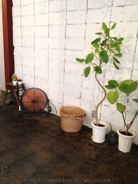 Kissa Mekuru photo 4