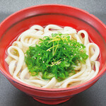 Kujo green onion udon