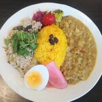 Pomuzu Kari Ando Kohi - 豆苗となすのグリーンチキンキーマカレー＆春キャベツとししとうカレー