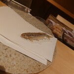 ぬま田 - 琵琶湖の稚鮎