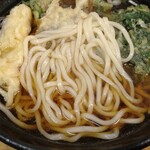 ふじ - これ、うどんです