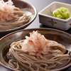 おそばだうどんだ 越前 - 料理写真:福井について最も短時間で食べられる「越前おろしそば」　伝統の２皿盛りで。