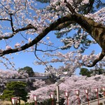 兼六園茶屋 見城亭 - 金沢城。