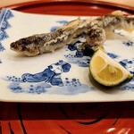 馬車道 大かわ - 稚鮎の天ぷら
