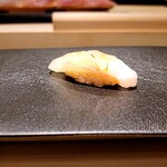 島津 - 横紋ハタ