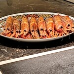 島津 - 大きなボタン海老