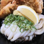 讃岐うどん 白庵 ららぽーと堺店 - 
