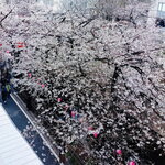 スターバックス リザーブ ロースタリー トウキョウ - 