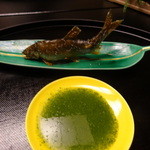 京懐石 吉泉 - 蓼酢でいただく鮎の塩焼き