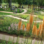 フラテッロ・ディ・ミクニ - 店の下にはガーデン。まだ造成中です。