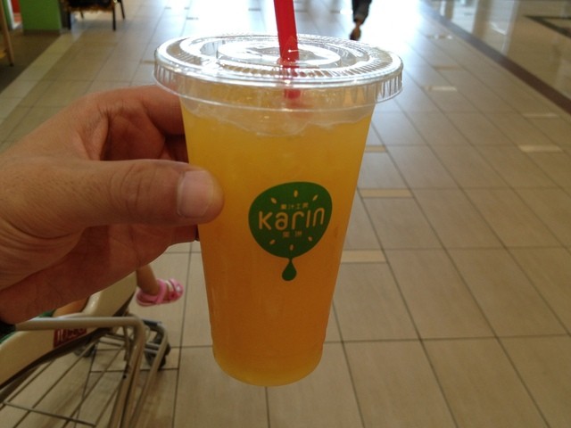 Karin Ionmoru Tsurumiryokuchi Ten photo 5