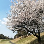 名神八日市カントリー倶楽部 レストラン - 