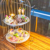 渋谷 Blue bird - 