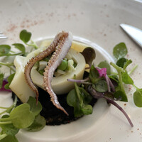 LA BRIQUE SAPPORO Akarenga Terrace - 春のペアリングメニューsaison1 前菜2