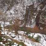 金蘭荘 花山 - 客室からの眺め：2013年1月13日撮影