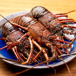Fresh Seafood at reasonable prices! "Live grilled lobster (limited quantity)"