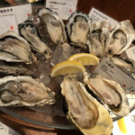 オストレア oysterbar&restaurant - 