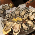 オストレア oysterbar&restaurant 六本木店 - 