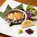 Live abalone sashimi from Setouchi (limited quantity)