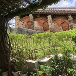 琉球料理 ぬちがふぅ - 