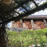 琉球料理 ぬちがふぅ - 