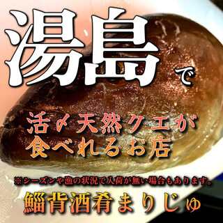 名产!日本产活腌天然褐石斑鱼