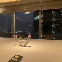 SAKURA - 