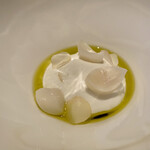 カンテサンス - 