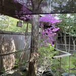 瓢亭 - 個室からの眺め