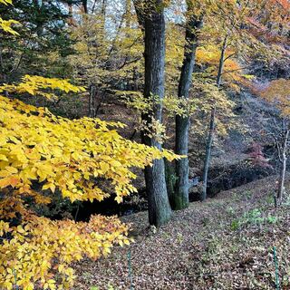 ホテル鹿島ノ森 - 