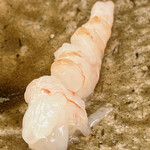 鮨おばな - 特大ボタン海老です