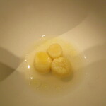 ドンブラボー - 