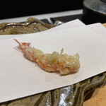 Tempura Sen No Tane - 