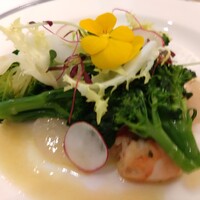 THE TERRACE yokohama marine tower - 
