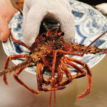 神楽坂 鉄板焼 中むら - 