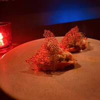 TOOTH TOOTH TOKYO - 