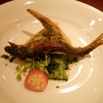 北新地 弧柳 - 島根高津産鮎　たで酢のピューレ素麺　茗荷　ツルマンネングサ