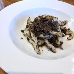 SAISIR - ウンブリチェッリ マッシュルームソース